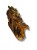 Photoroom-20251128_124653_3.jpg