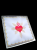 bielizna-kielichowa-haft-premium-detale-korporlal-puryfikaterz-03.jpg